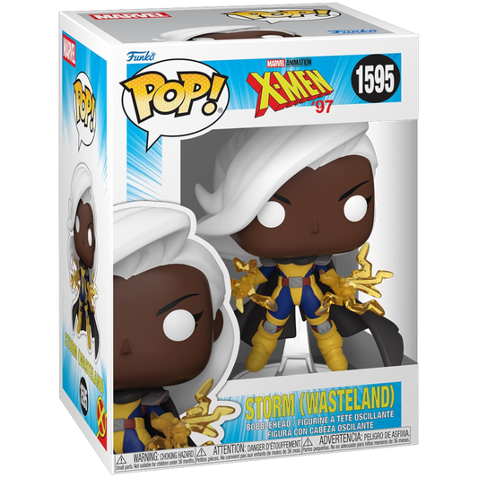 Funko Pop! Storm #1595 vinyl figure collectible