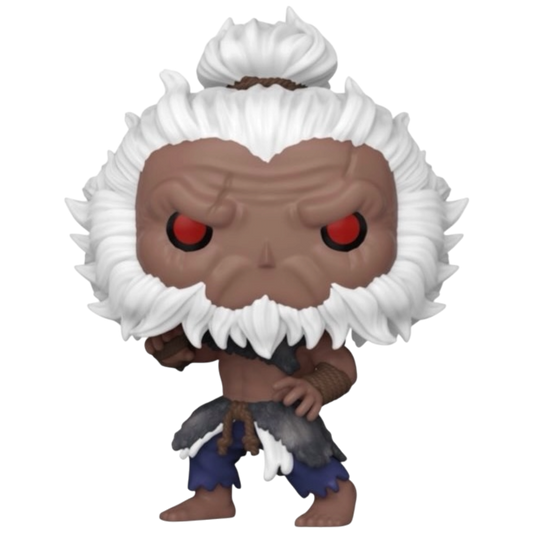 Funko Pop! Akuma #1261 vinyl figure collectible