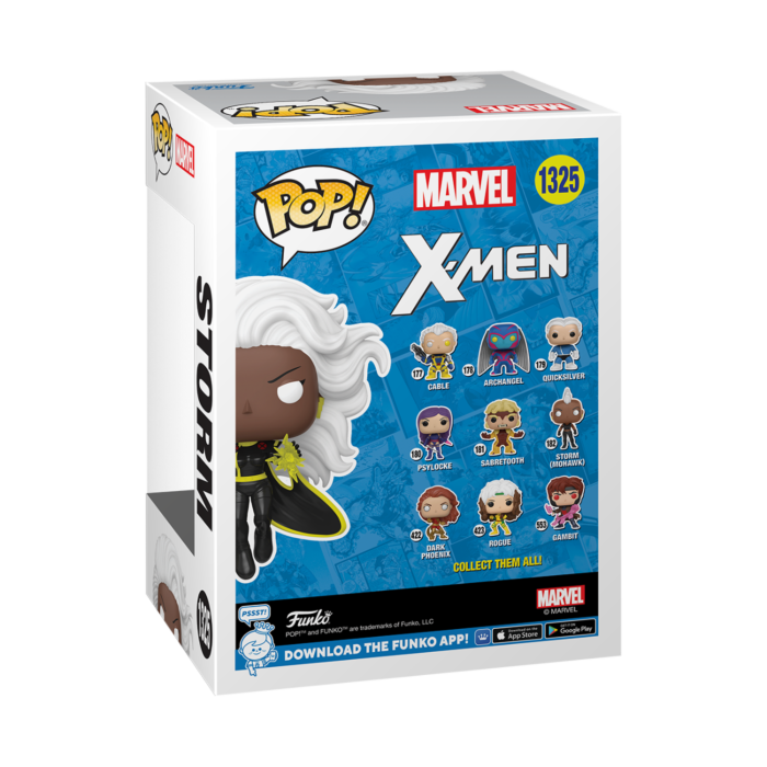 Funko Pop! Storm #1325 Box Lunch Glow vinyl figure collectible